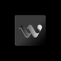Wiser AI logo